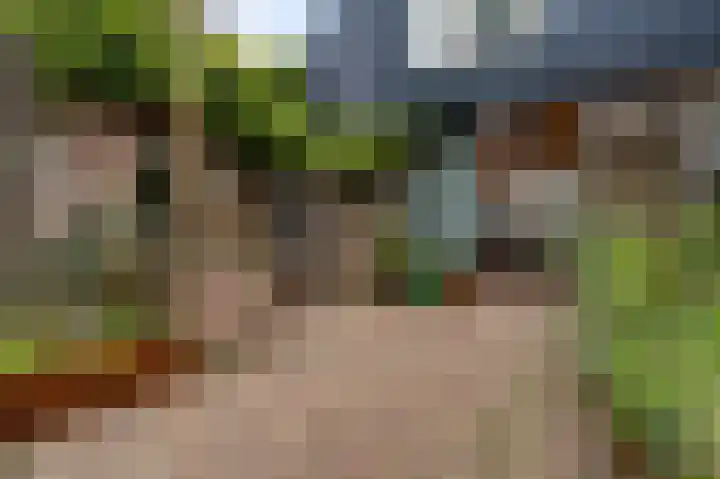 Steeg 19 Sevenum thumbnail 57