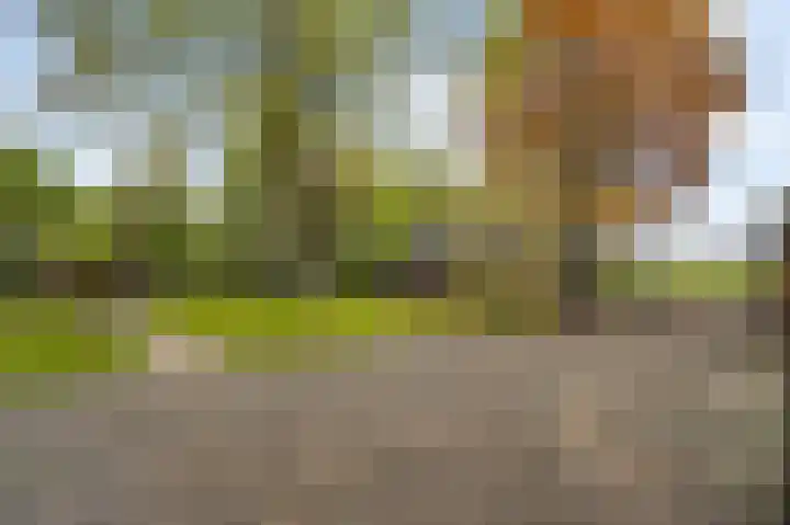 Steeg 19 Sevenum thumbnail 58