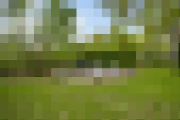 Steeg 19 Sevenum thumbnail 60