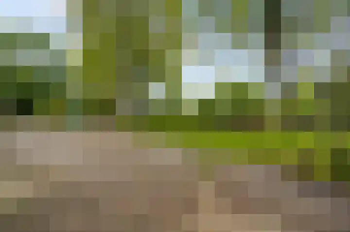 Steeg 19 Sevenum thumbnail 61