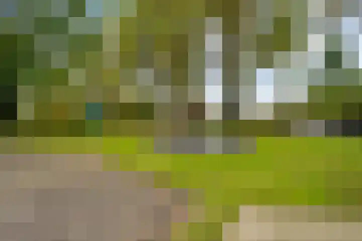Steeg 19 Sevenum thumbnail 62