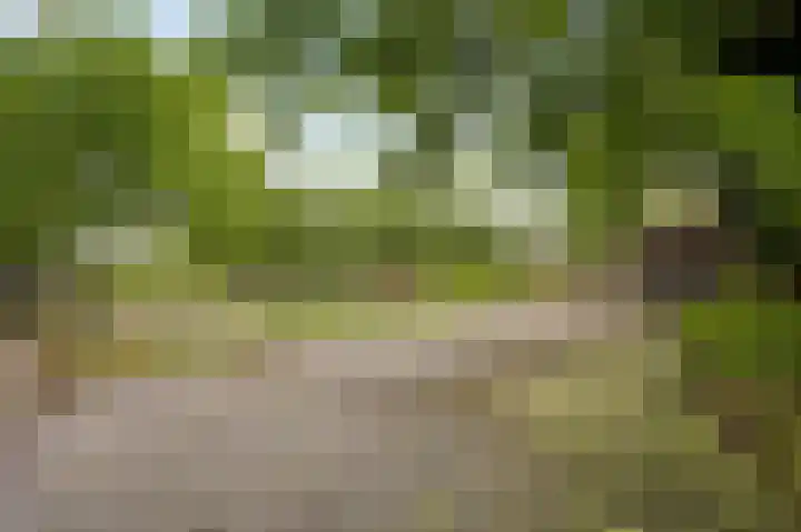 Steeg 19 Sevenum thumbnail 64