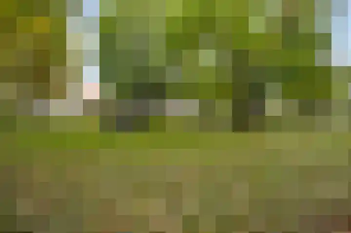 Steeg 19 Sevenum thumbnail 66