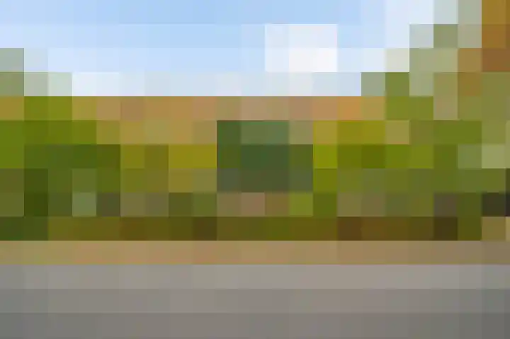 Steeg 19 Sevenum thumbnail 7