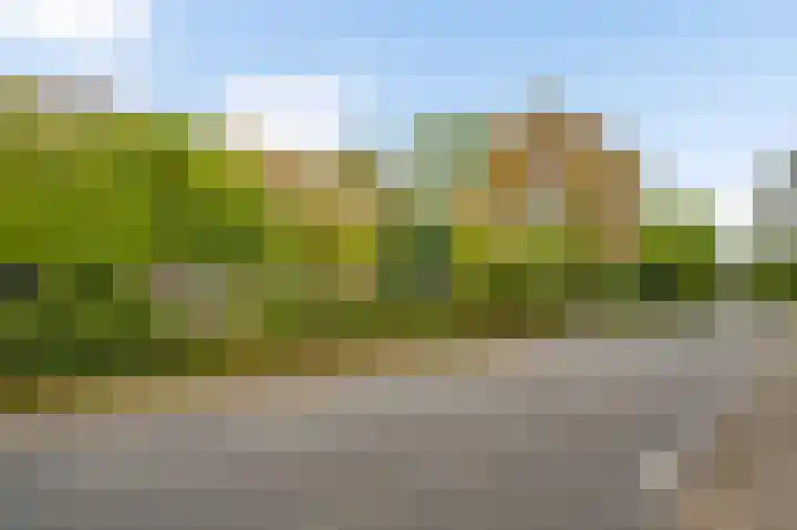 Steeg 19 Sevenum thumbnail 8