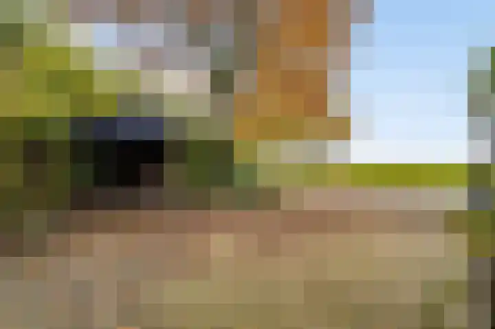 Steeg 19 Sevenum thumbnail 9