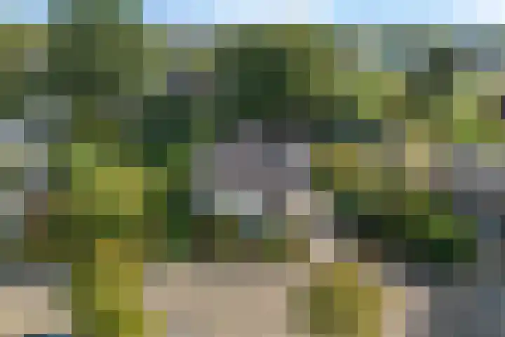 Steeg 4 Neer foto 2