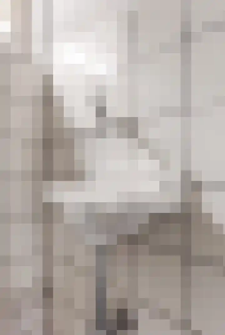 Steeg 4 Neer thumbnail 22