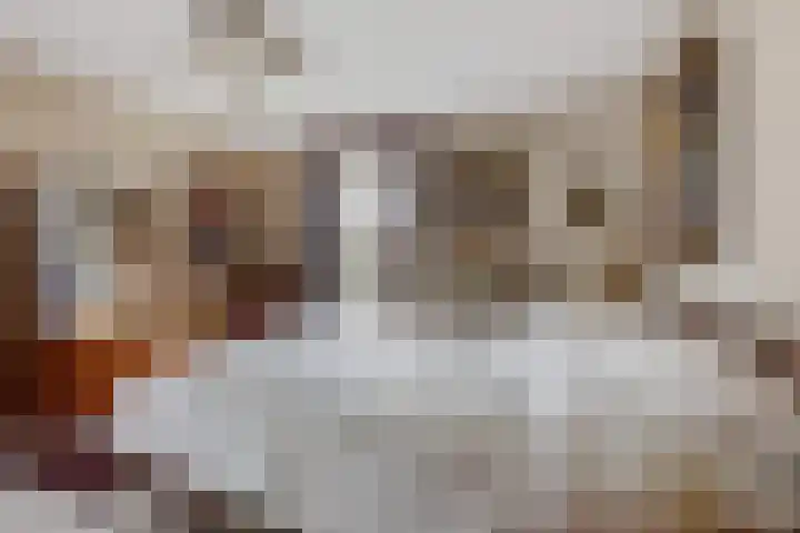 Steeg 4 Neer thumbnail 29