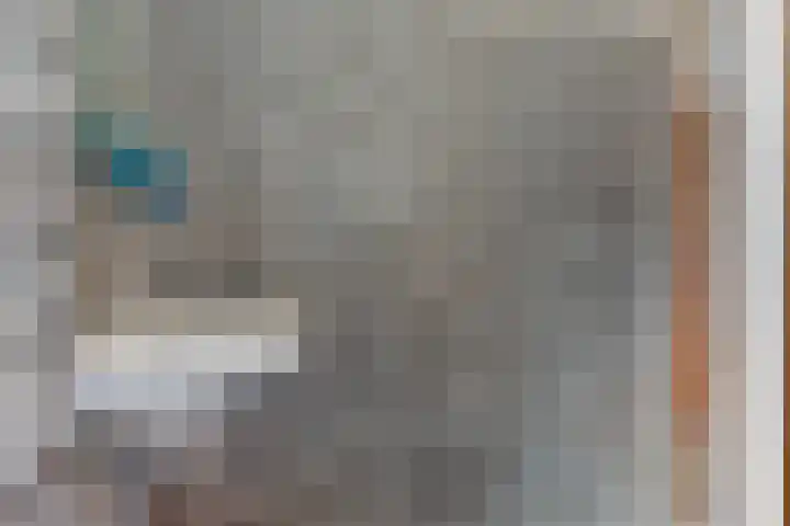 Steeg 4 Neer thumbnail 38