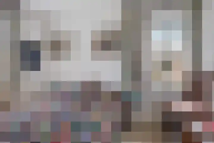 Steeg 4 Neer thumbnail 39