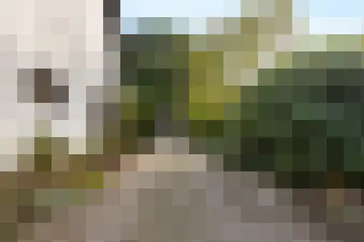 Steeg 4 Neer thumbnail 51
