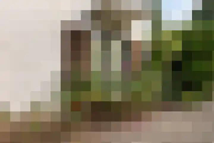 Steeg 4 Neer thumbnail 52