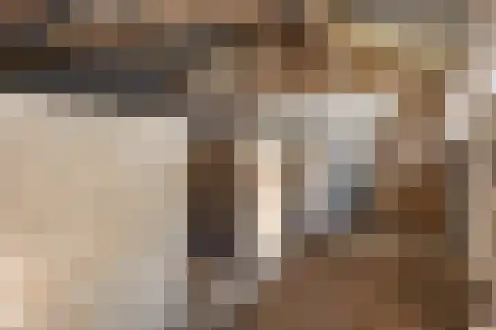Steeg 4 Neer thumbnail 56