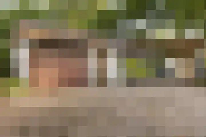Steeg 4 Neer thumbnail 57