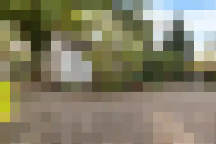 Steeg 4 Neer thumbnail 58