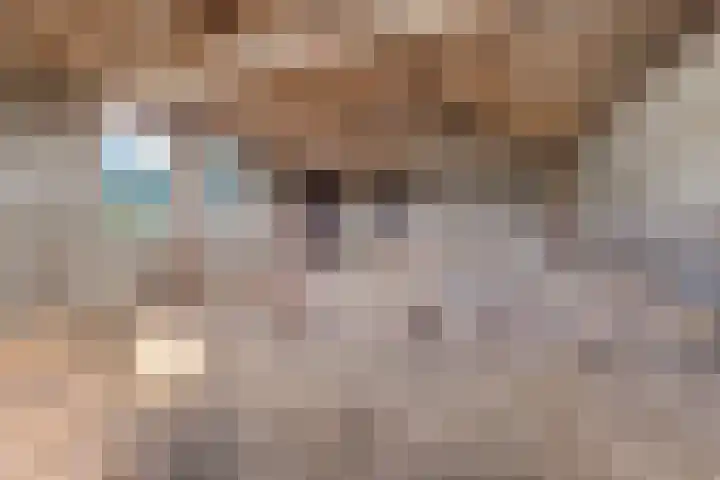 Steeg 4 Neer thumbnail 60