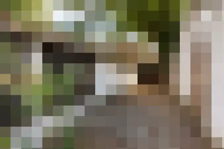 Steeg 4 Neer thumbnail 62