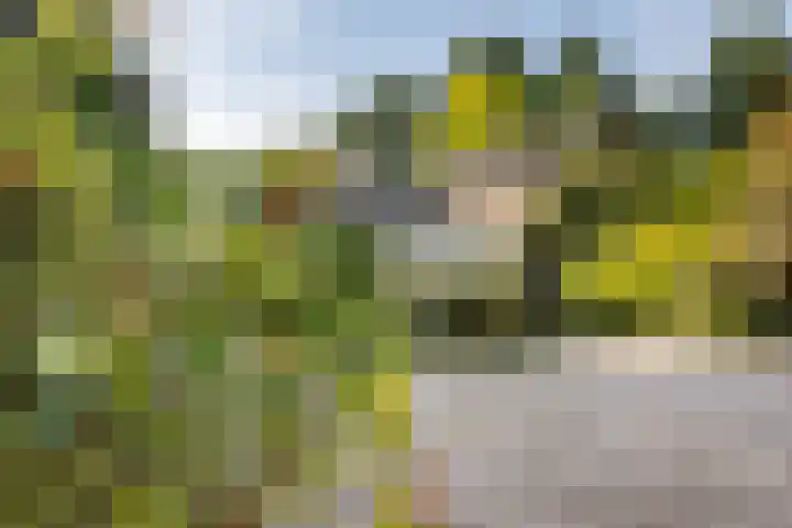 Steeg 4 Neer thumbnail 63