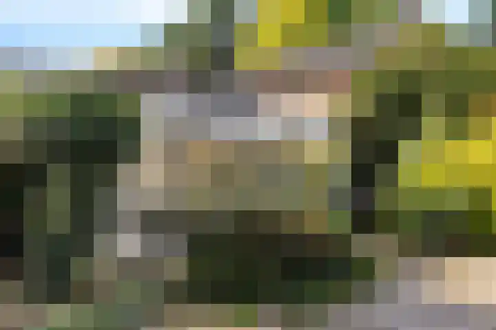 Steeg 4 Neer thumbnail 64