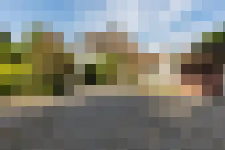 Steeg 4 Neer thumbnail 65