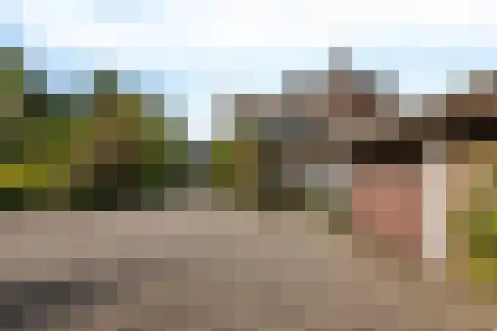 Steeg 4 Neer thumbnail 67