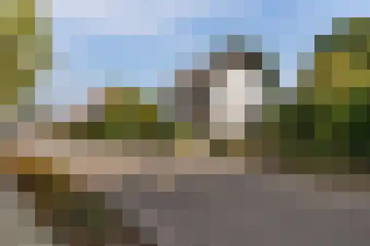 Steeg 4 Neer thumbnail 72