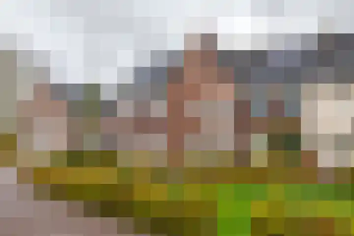 Steegakker 15 en Rumpt