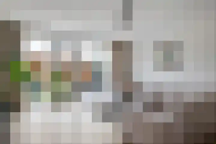 Steegakker 15 Rumpt thumbnail 11