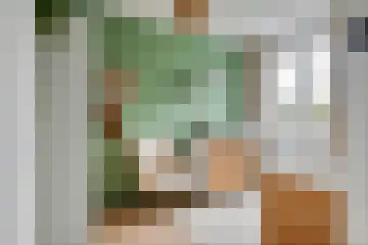 Steegakker 15 Rumpt thumbnail 20