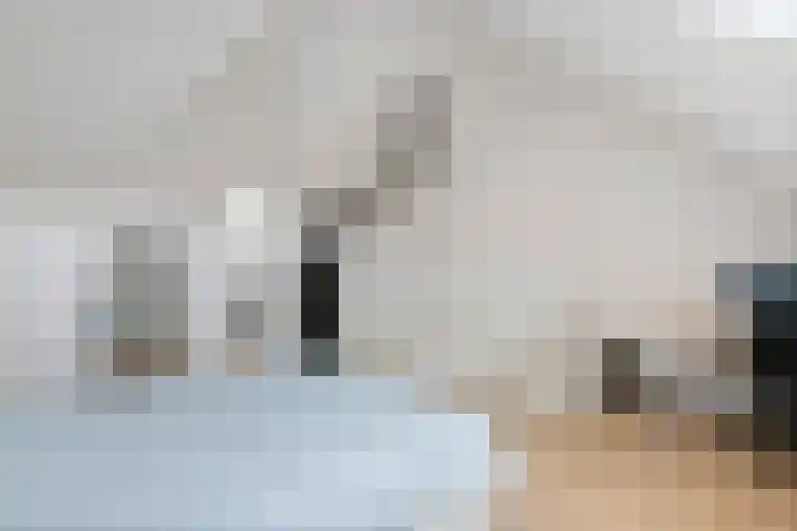 Steegakker 15 Rumpt thumbnail 26