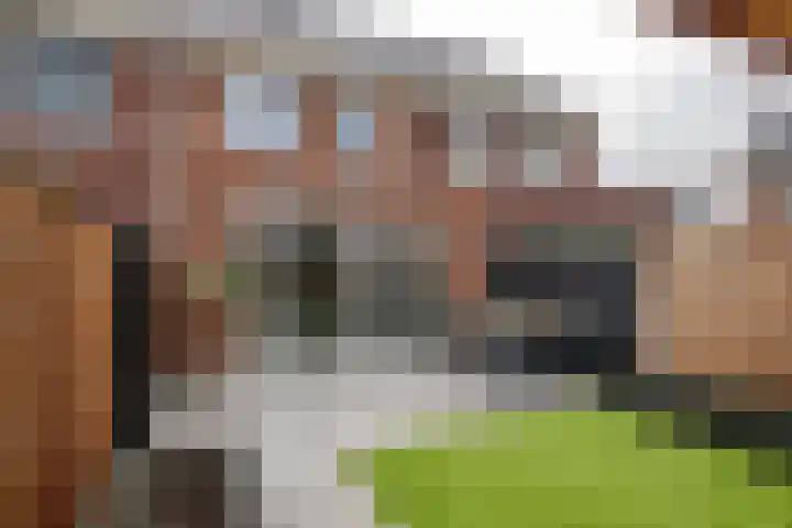 Steegakker 15 Rumpt thumbnail 30