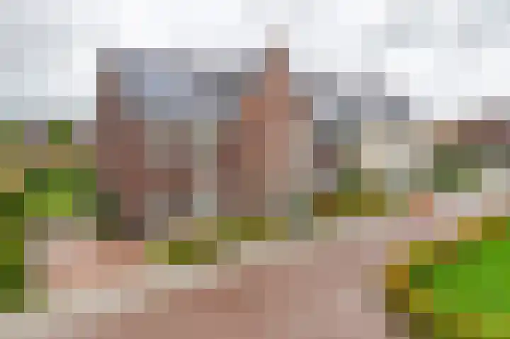 Steegakker 15 Rumpt thumbnail 32