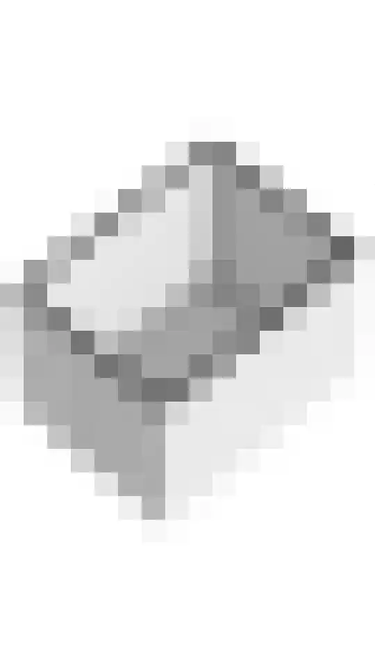 Steegakker 15 Rumpt thumbnail 40