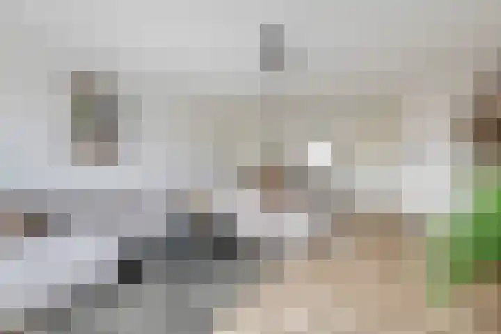 Steegakker 15 Rumpt thumbnail 9