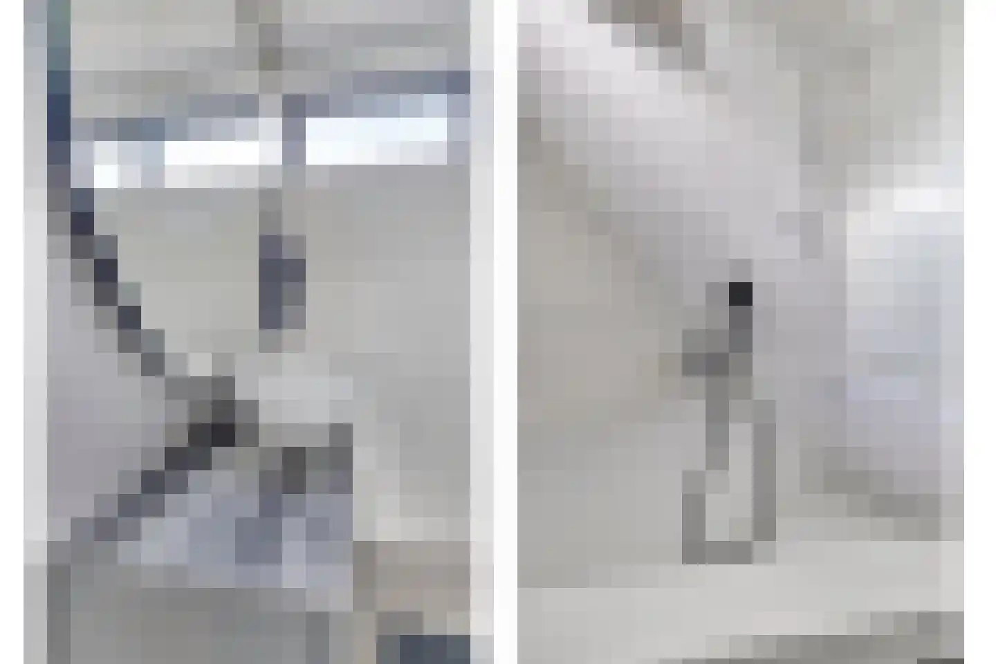 Steegakker 2 Rumpt thumbnail 12