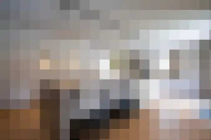 Steegakker 2 Rumpt thumbnail 14