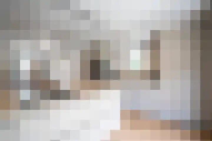 Steegakker 2 Rumpt thumbnail 15