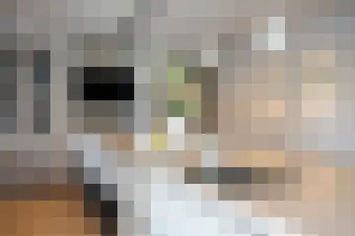 Steegakker 2 Rumpt thumbnail 16