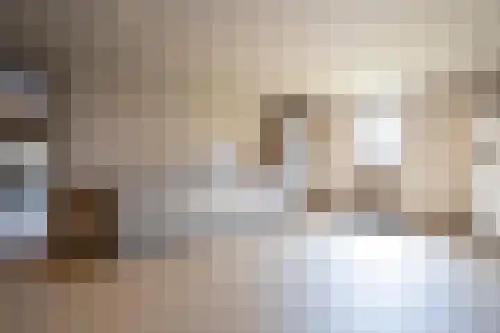 Steegakker 2 Rumpt thumbnail 18