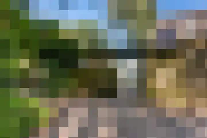 Steegakker 2 Rumpt foto 2