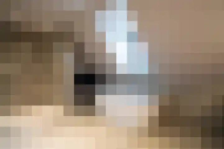Steegakker 2 Rumpt thumbnail 29