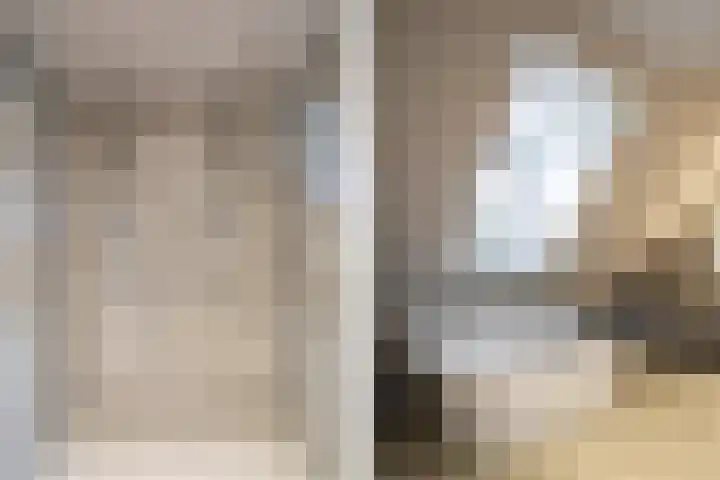 Steegakker 2 Rumpt thumbnail 31