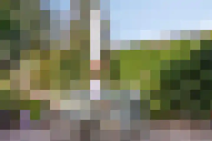 Steegakker 2 Rumpt thumbnail 36