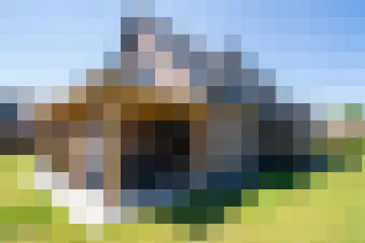 Steegakker 2 Rumpt thumbnail 37