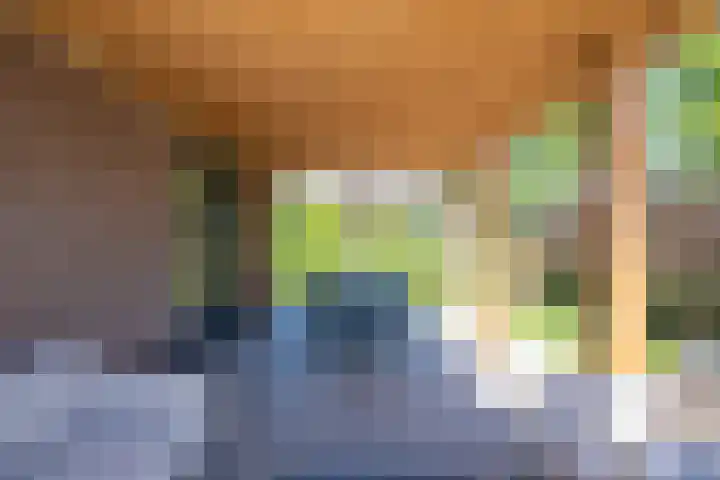 Steegakker 2 Rumpt thumbnail 38