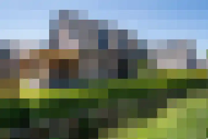 Steegakker 2 Rumpt thumbnail 43