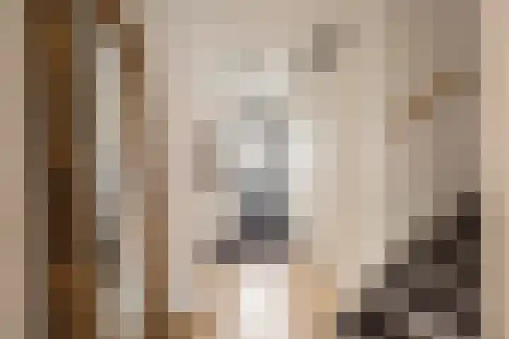 Steegakker 2 Rumpt thumbnail 45