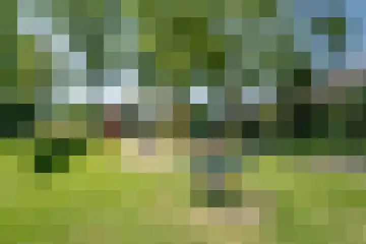 Steegakker 2 Rumpt thumbnail 45