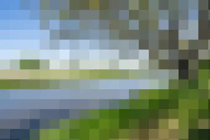 Steegakker 2 Rumpt thumbnail 46